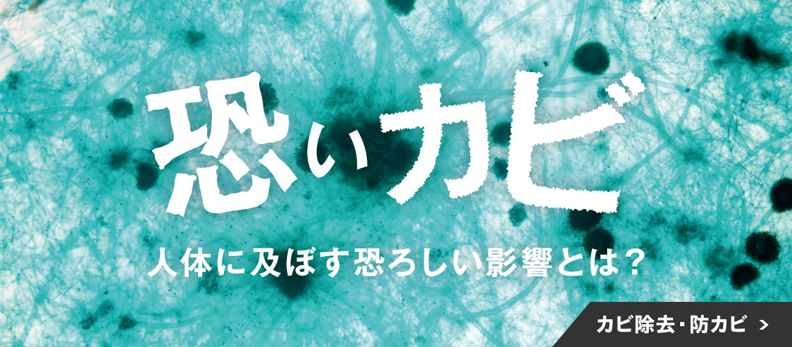 カビ除去・防カビ